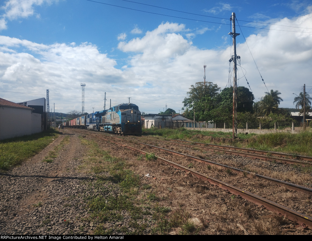 RUMO 9819